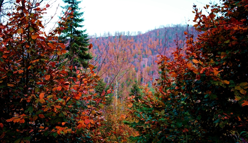 cam-dagi-ndan-kartpostallik-fotograflarttnzzxnqk0