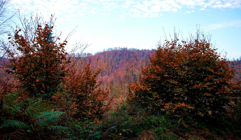 cam-dagi-ndan-kartpostallik-fotograflarttnzzxnqk0