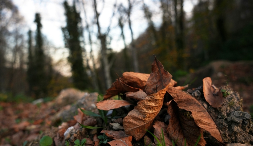 cam-dagi-ndan-kartpostallik-fotograflarttnzzxnqk0