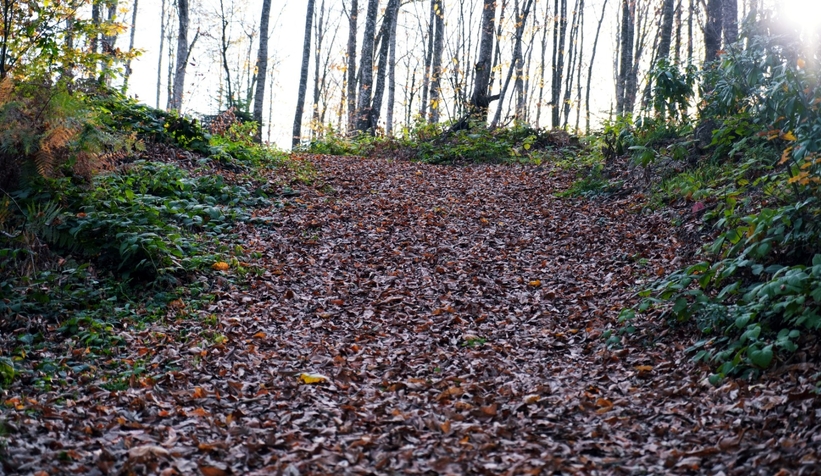 cam-dagi-ndan-kartpostallik-fotograflarttnzzxnqk0