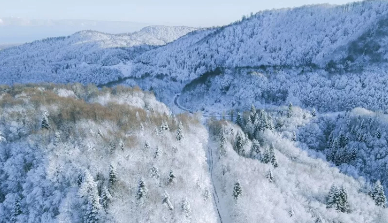 cam-dagi-yolu-trafige-kapatildiu2dacep2zk