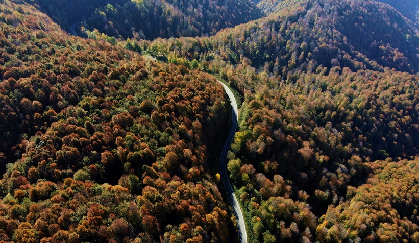 Çam Dağı’nın hayran bırakan sonbahar manzarası