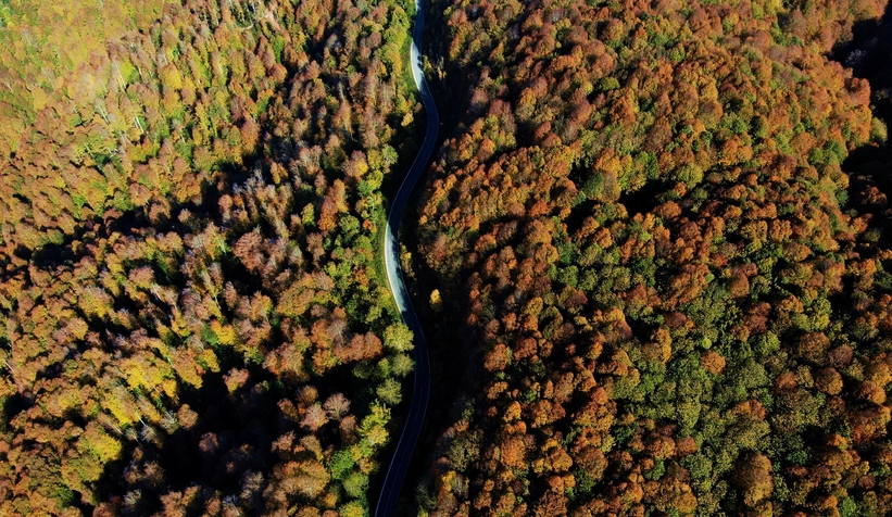 Çam Dağı’nın hayran bırakan sonbahar manzarası