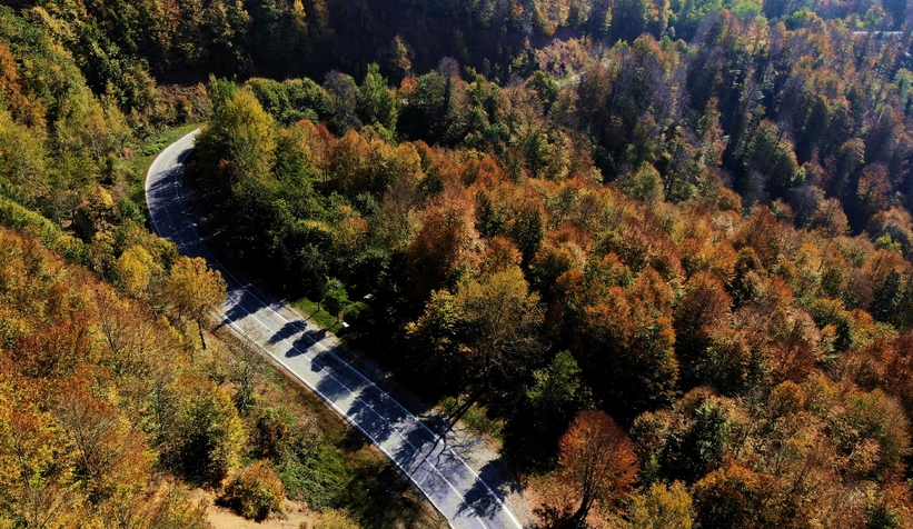Çam Dağı’nın hayran bırakan sonbahar manzarası