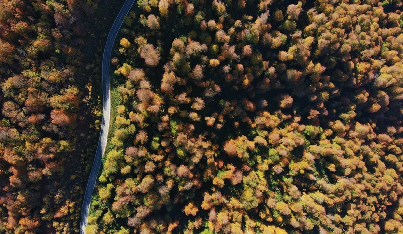 Çam Dağı’nın hayran bırakan sonbahar manzarası