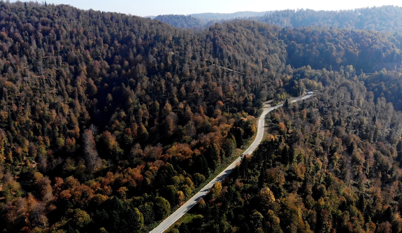 Çam Dağı’nın hayran bırakan sonbahar manzarası
