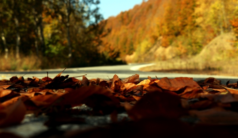 Çam Dağı’nın hayran bırakan sonbahar manzarası