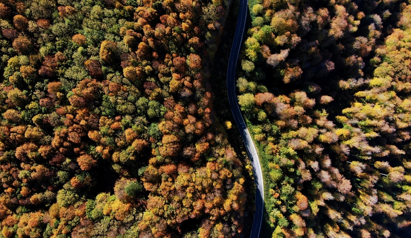 Çam Dağı’nın hayran bırakan sonbahar manzarası