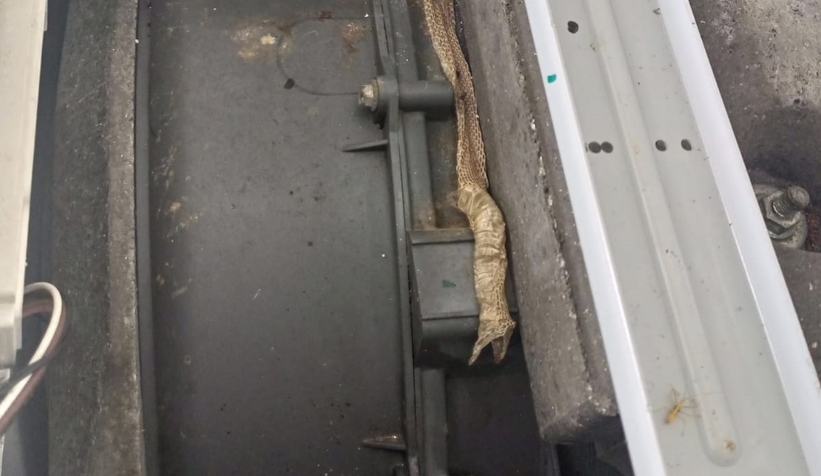  Çamaşır makinesinden çıkan şok etti