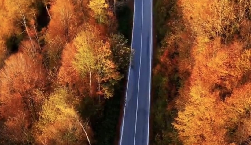 Çamdağı'nda görsel şölen