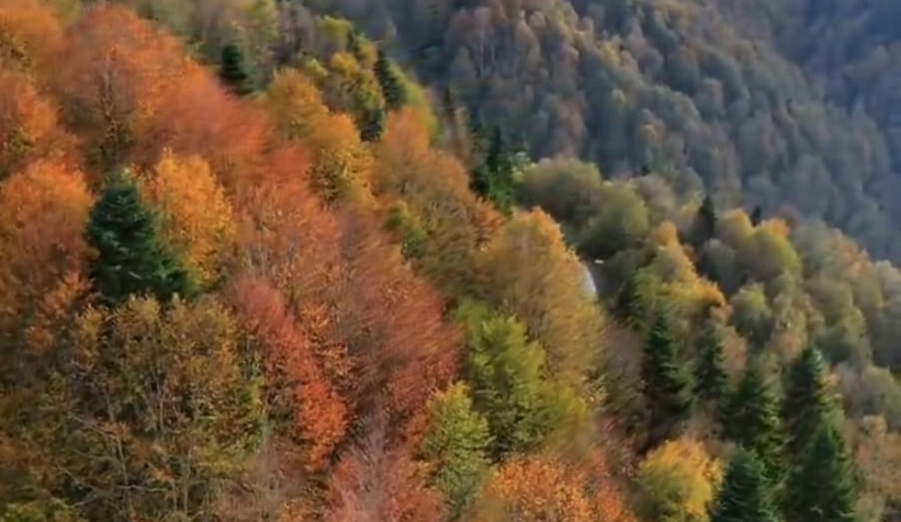 Çamdağı'nda görsel şölen