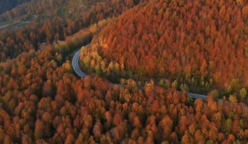 Çamdağı'nda görsel şölen