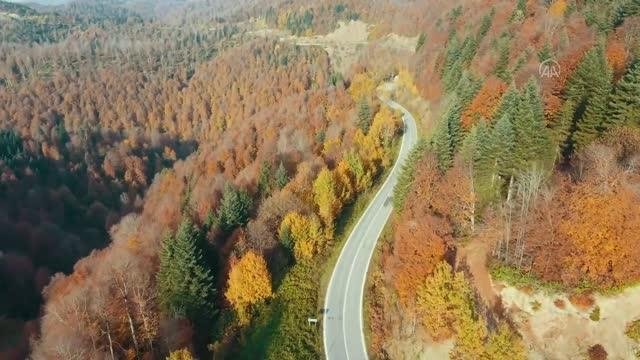 Çamdağı'nda sonbahar