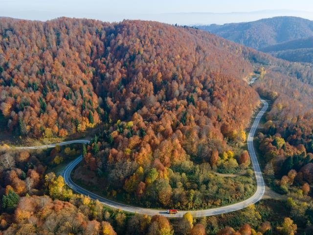 Çamdağı'nda sonbahar