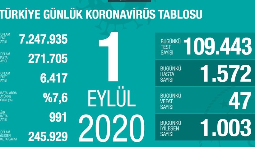Can kaybı ve ağır hasta sayısı artıyor; İşte son durum