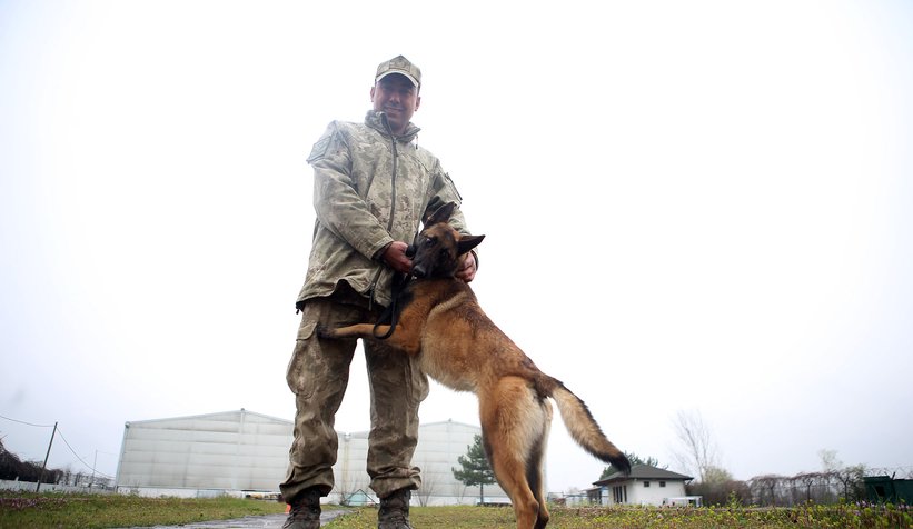 Canları kurtaracak köpekler en zor güne hazırlanıyor