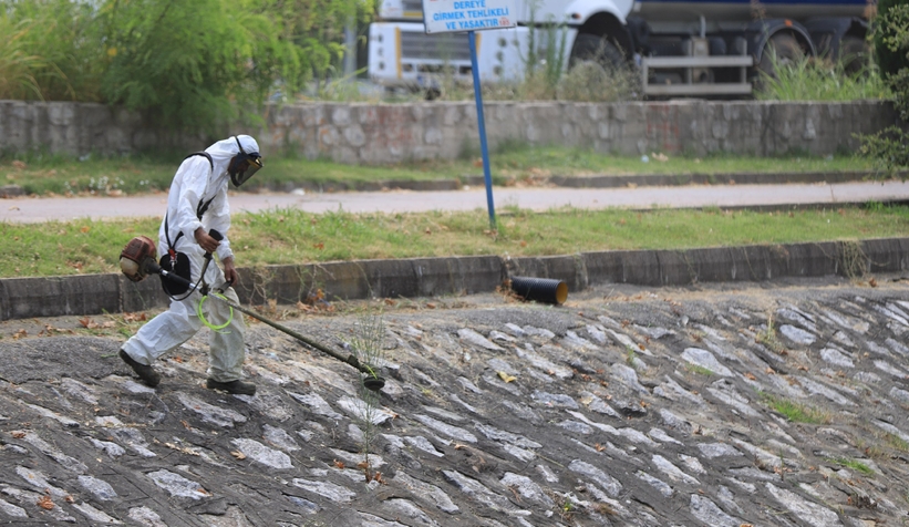 Çark Deresi etrafı temizlendi