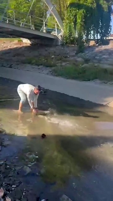 cark-deresi-nde-eliyle-balik-yakaladiemjhvfdbnm
