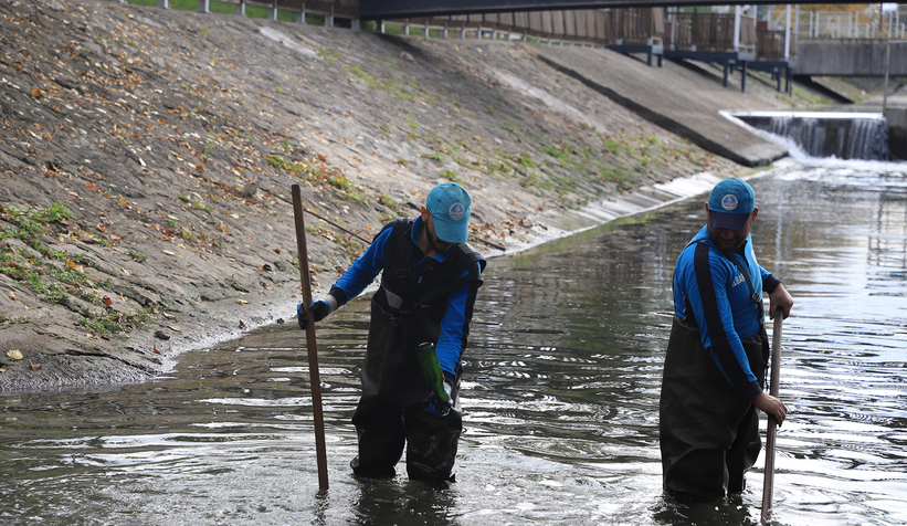 Çark Deresi’nin içine atılan çöpler toplandı