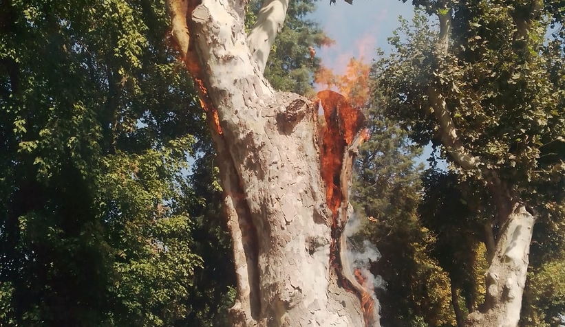Çark'ta hareketli dakikalar alev aldı