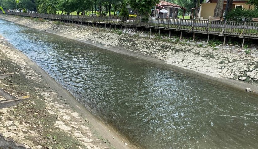 Çark'taki balık ölümlerinin nedeni belli oldu