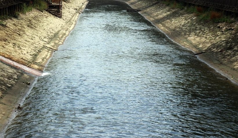 Çark'taki balık ölümlerinin nedeni belli oldu