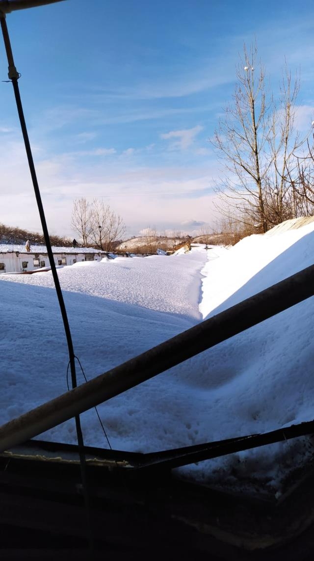 Çatı kardan çöktü, 27 bin tavuk telef oldu