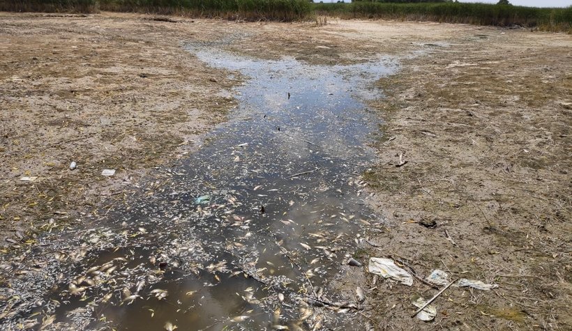 Çevre felaketi yaşandı