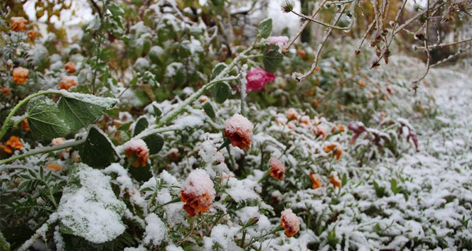 Çiftçiler dikkat zirai don uyarısı yapıldı