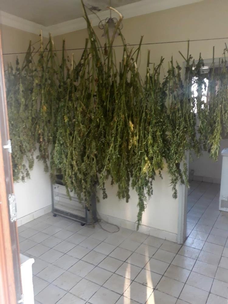 Çiftliği ve evi uyuşturucu imalathanesine çevirmiş