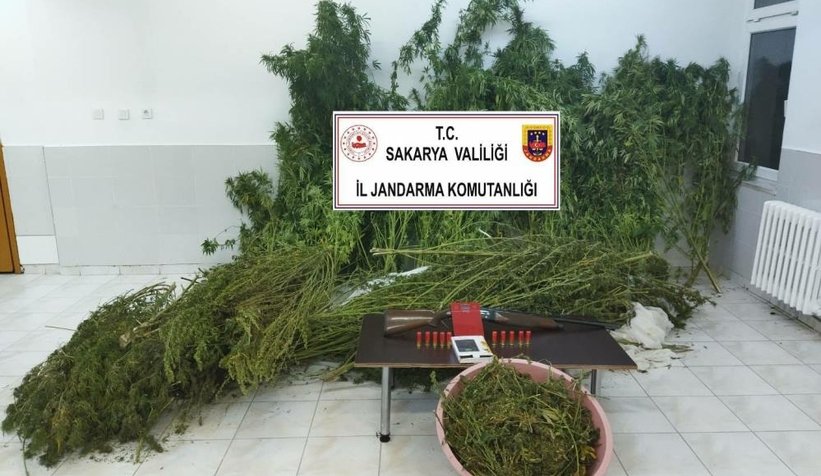 Çiftliği ve evi uyuşturucu imalathanesine çevirmiş