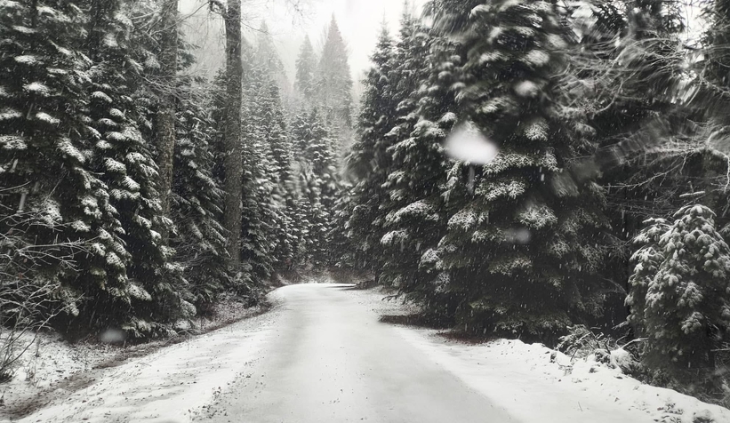 cigdem-yaylasi-ndan-kar-manzarasitkxmv1yxeu