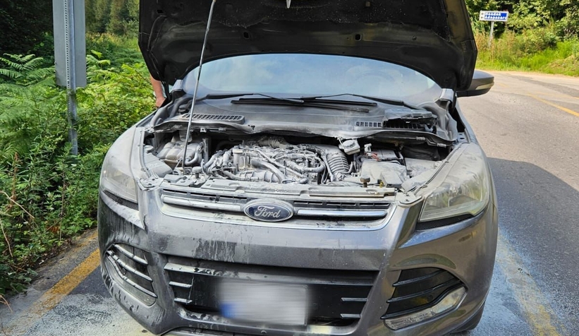 cip-in-motor-kismi-alev-aldi-q3lxcxbgbj