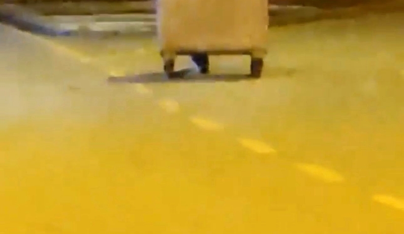 Çöp konteynerinin peşinden böyle koştu