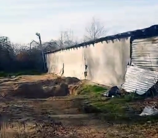 Çöp poşetine konulan ölü köpekler çukura atıldı