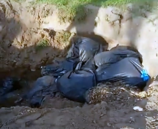 Çöp poşetine konulan ölü köpekler çukura atıldı