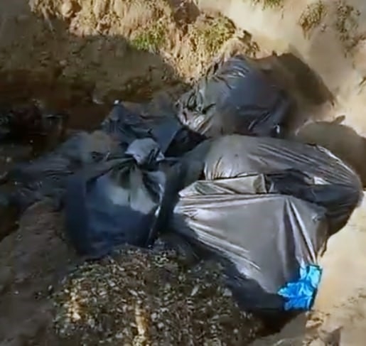 Çöp poşetine konulan ölü köpekler çukura atıldı