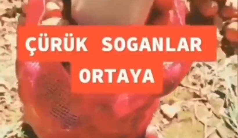 cuvalda-sogan-alirken-dikkat-boyle-kandiriyorlardg9ndg9how