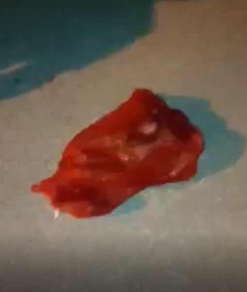 Çuvalın ağzını bağlayıp kediyi yola attılar!