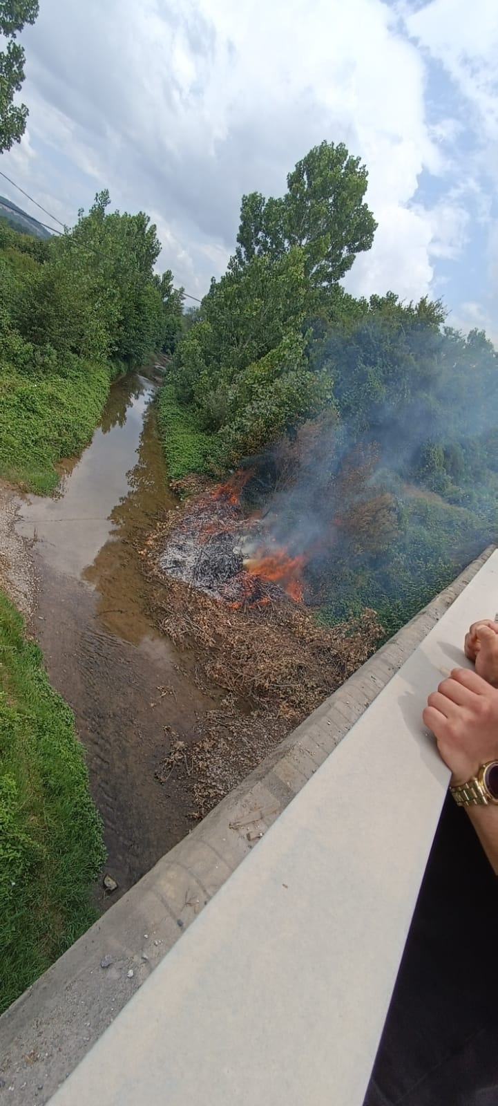 D-100'de araçtan atılan izmarit yangın çıkardı