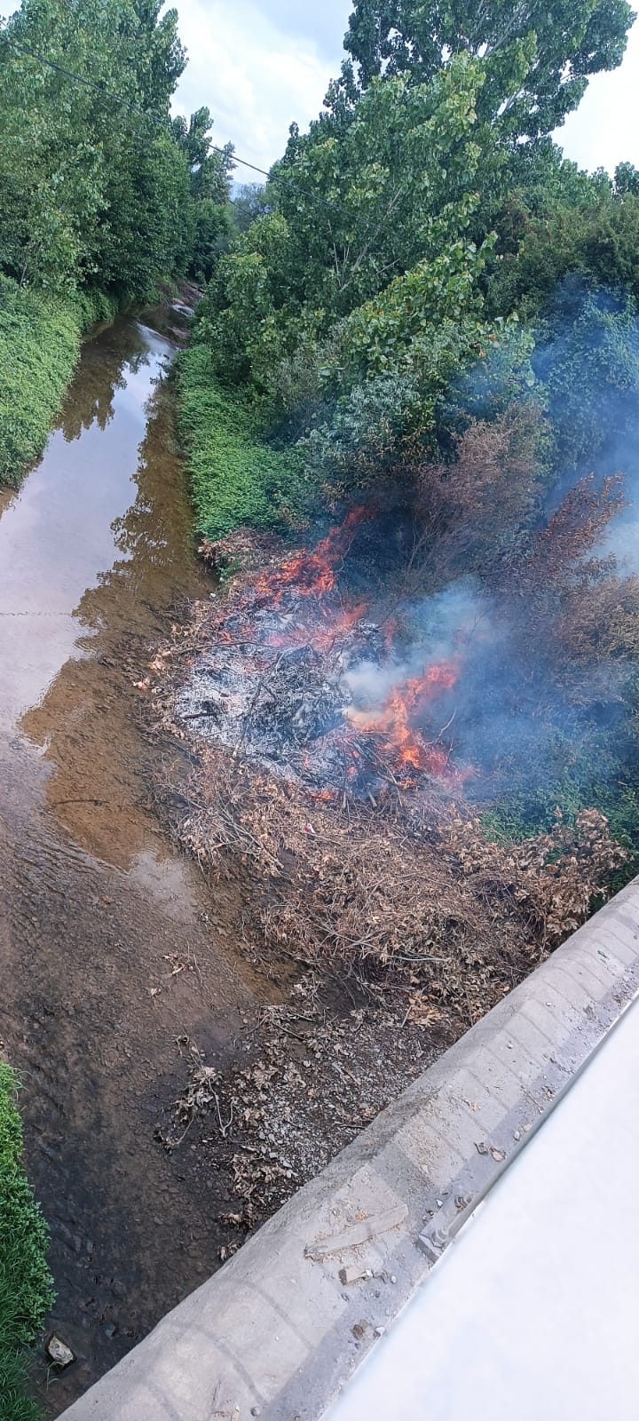 D-100'de araçtan atılan izmarit yangın çıkardı