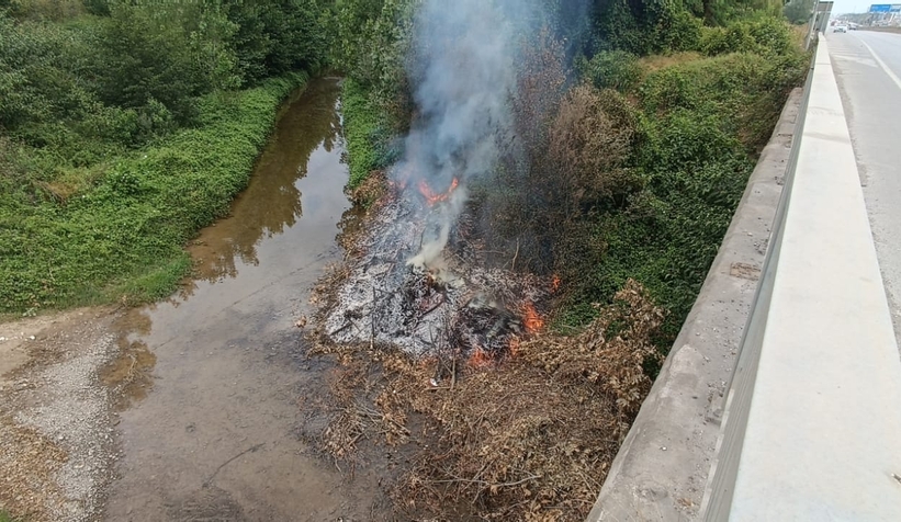 D-100'de araçtan atılan izmarit yangın çıkardı