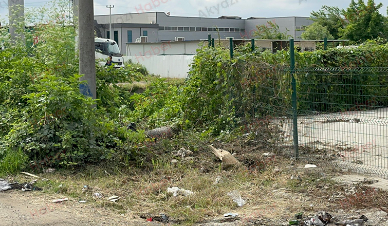 D-100'de feci kaza: 2 yaralı