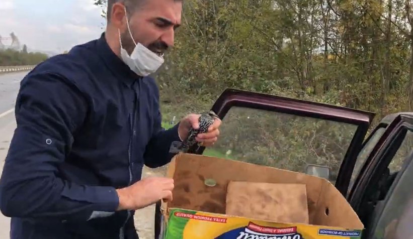 D-100'de şok eden olay, onlarcası öldü