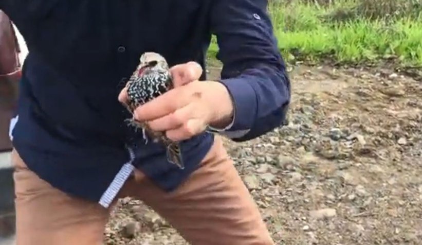 D-100'de şok eden olay, onlarcası öldü