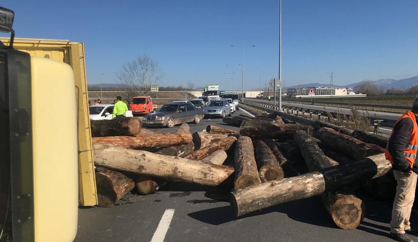 D-100'de tomruk yüklü kamyon devrildi