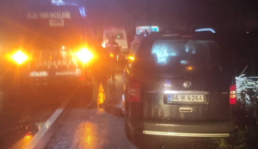 d-100-karayolunun-akyazi-erenler-kesiminde-otomobilin-carptigi-kadin-oldub1k0bwkryv
