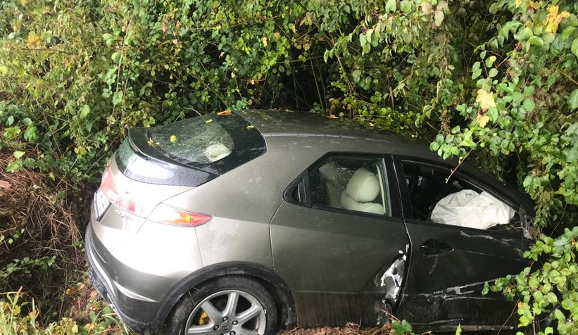 D-100 otomobil çalılıklara uçtu