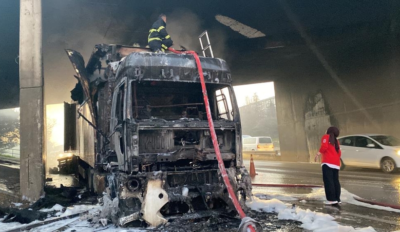 D-100’de çay yüklü tır yandı