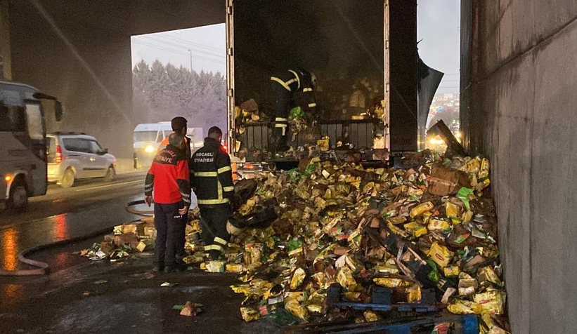 D-100’de çay yüklü tır yandı